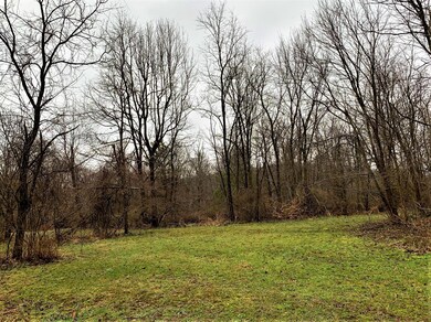 IMG_0602 (2)