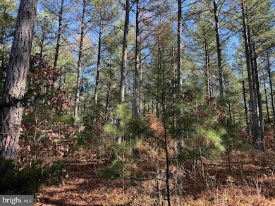 0, Arvonia, VA 23004 - photo 2