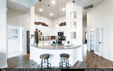 4030 Arena Blanca, San Antonio, TX 78261 - photo 4
