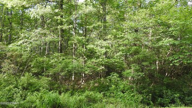 141 Mohegan Dr, Milford, PA 18337 - photo 3