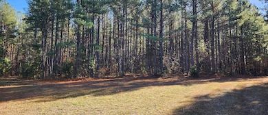 Grand Brooks Rd, Spotsylvania, VA 22551 - photo 3