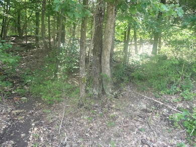 Table Rock Lake