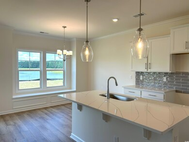 154 River Birch Dr, Loris, SC 29569 - photo 4