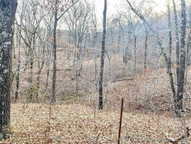 0 E 950 Rd unit 2542577, Cookson, OK 74427 - photo 7