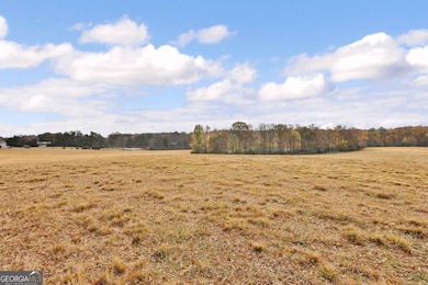 LOT 7 Mask Road - Hanner's Farm S, Brooks, GA 30205 - photo 2