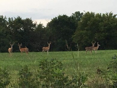 unlisted-address, Winslow, AR 72959 - photo 6