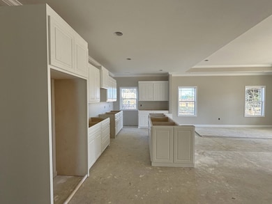 608 E Church St, Headland, AL 36345 - photo 3