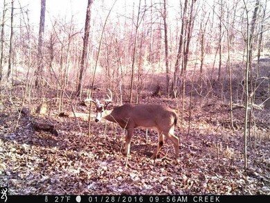 2190 S Poplar Ct, Bloomfield, IN 47424 - photo 7