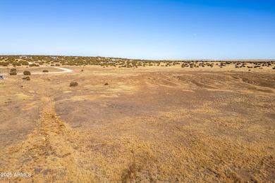Show Low Pines Unit 5 Lot 320 -- unit 320, Concho, AZ 85924 - photo 4