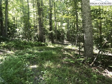 TBD Lot 28 Sonterra Dr, Lansing, NC 28643 - photo 6