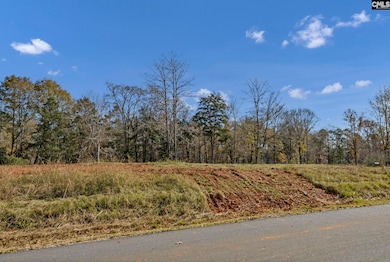 0 Lands End Ln unit 622662, Prosperity, SC 29127 - photo 2