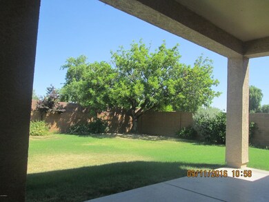 IMG_2812 - Copy