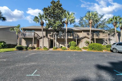33 Cypress, Cassine
