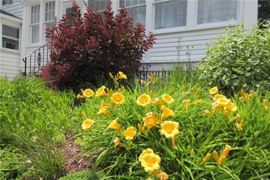A variety of flowers surround the smoke bush.