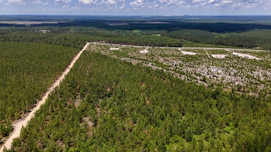 0 Beaver Dam Rd unit 25030817, Cassatt, SC 29032 - photo 5