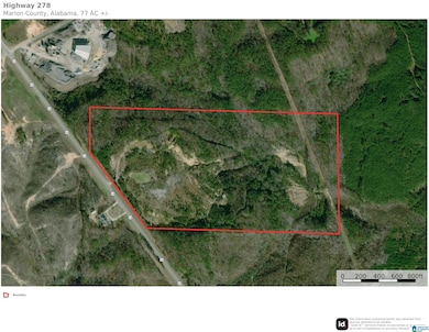 0 U S 43 unit 21410973, Guin, AL 35563 - photo 6