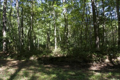 Wayland Estates
