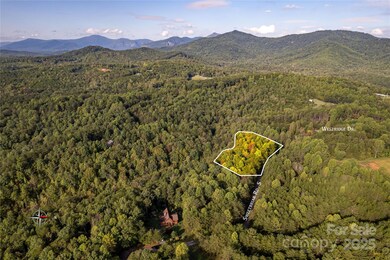 000 Silent Forest Way, Lake Lure, NC 28746 - photo 3