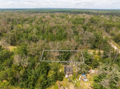 DJI_20240709084005_0124_D