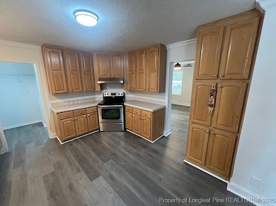 451 E McRainey Rd, Saint Pauls, NC 28384 - photo 3