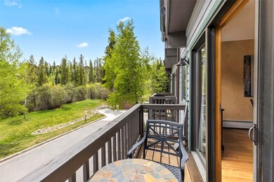 705 4 O Clock Rd unit M4, Breckenridge, CO 80424 - photo 4