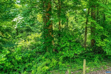 763 Clifton Trail, Crozet, VA 22932 - photo 7