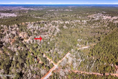 0 Kit Maples Rd, Perkinston, MS 39573 - photo 4