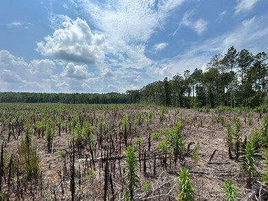 162 Tuggle Rd, Eatonton, GA 31024 - photo 6