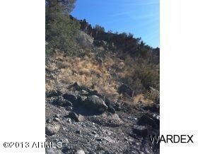 5433 N Kit Fox Trail unit 239, Kingman, AZ 86401 - photo 7