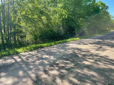 6001 County Road 233, Tyler, TX 75705 - photo 6