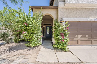 5-web-or-mls-Devon-5