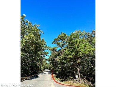 168 Charles Neck Way unit 49, Vineyard Haven, MA 02568 - photo 6