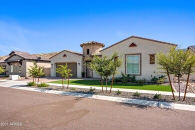 Zero scape front yard
