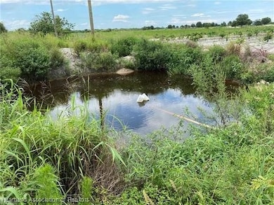 6790 6th Rd, Labelle, FL 33935 - photo 6