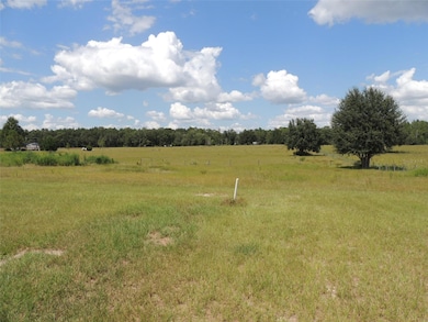 9871 NE 60th St, Bronson, FL 32621 - photo 7