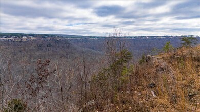 02-DJI_20250107115103_0166_D-HDR