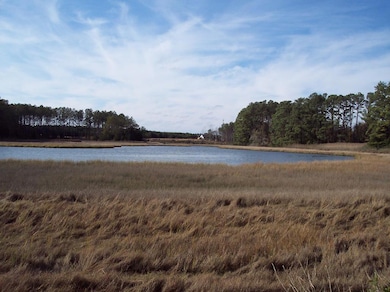 Lot #11 Metompkin Rd unit 11, Parksley, VA 23421 - photo 3