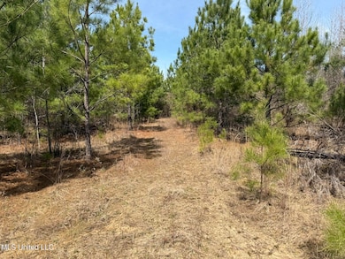 0 Clyde Evans Rd, Newton, MS 39345 - photo 2