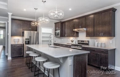 4796 Formation Ct unit 68, Lancaster, SC 29720 - photo 4