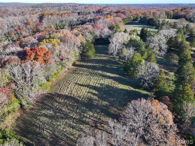 0 Scanlon Dr, de Soto, MO 63020 - photo 4