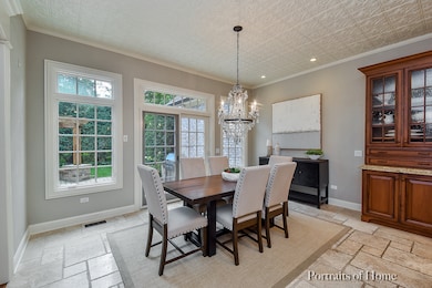 903 Edgewater Dr, Naperville, IL 60540 - photo 3