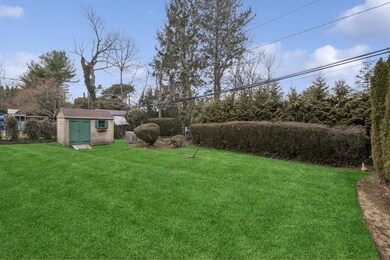 Yard