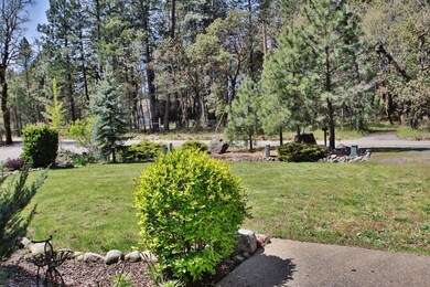 4-Front Yard