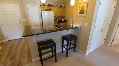708 Aqua Marine Blvd unit 27, Avon Lake, OH 44012 - photo 7