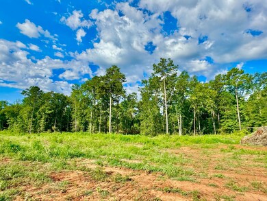 417 Old Tejas Trail W, Hemphill, TX 75948 - photo 4