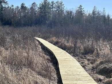 4866 Cth G, Eagle River, WI 54521 - photo 5