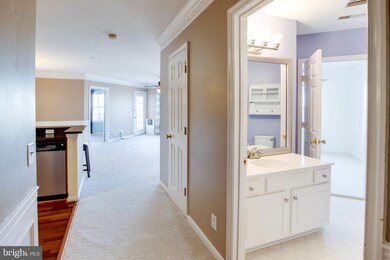 12451 Hayes Ct unit 203, Fairfax, VA 22033 - photo 6