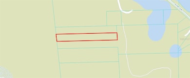 TBD N Highway 314 A, Silver Springs, FL 34488 - photo 2