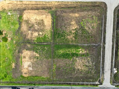 TBD Jolene Ct, van Alstyne, TX 75495 - photo 4