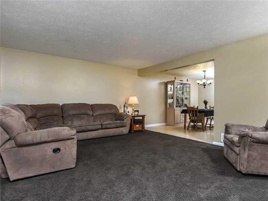 Living Room. Spacious living room (17 x14 ) is ope
